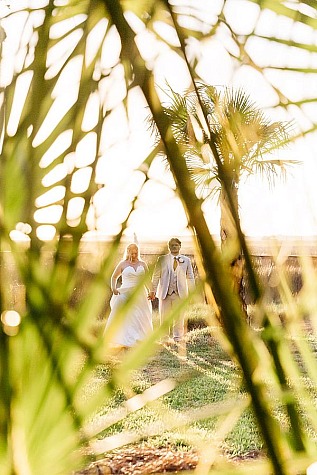 Ray-White | Wedding